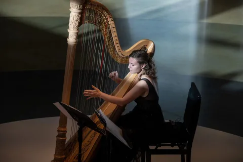 Афиша: В созвучии с арфой в Новосибирске 17 мая 2026