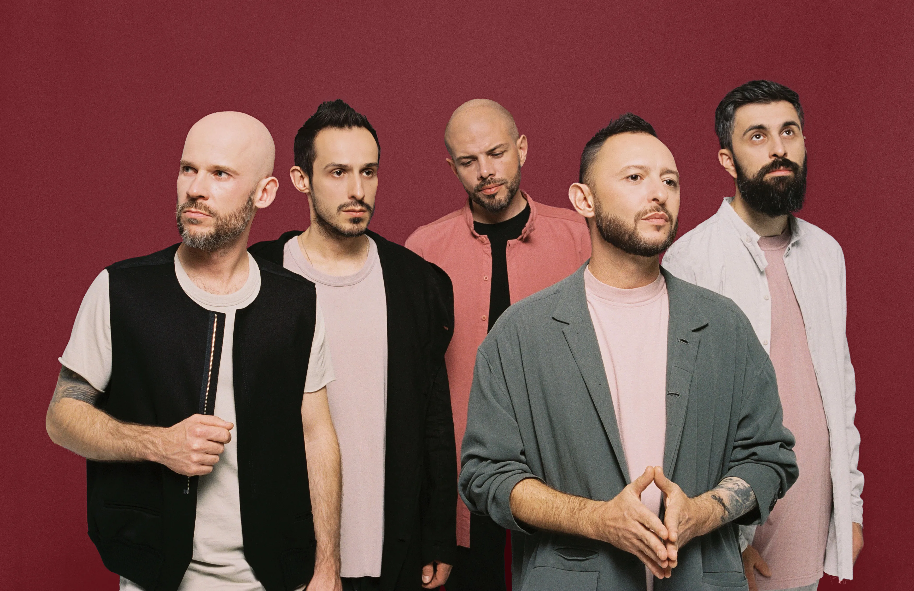 Афиша: Звери в Вологде 31 мая 2026