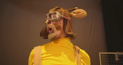 Афиша: Зверополох в Саранске 17 мая 2026