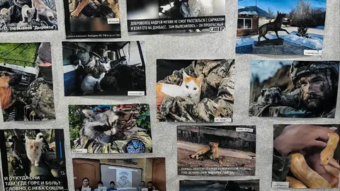 Афиша: Экскурсия «Ангелы Победы» в Волгограде 26 ноября 2026
