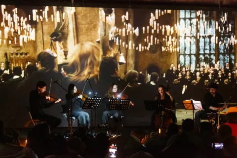 Афиша: Grani Music. Магическая вселенная Гарри Поттера в Москве 27 ноября 2026