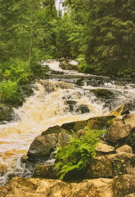 Афиша: Природа Карелии: четыре водопада и круиз на ладье по Ладожским шхерам в Санкт-Петербурге 14 ноября 2026
