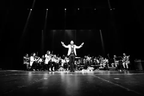 Афиша: Раймонд Паулс. Золотые мелодии в Серпухове 26 ноября 2026