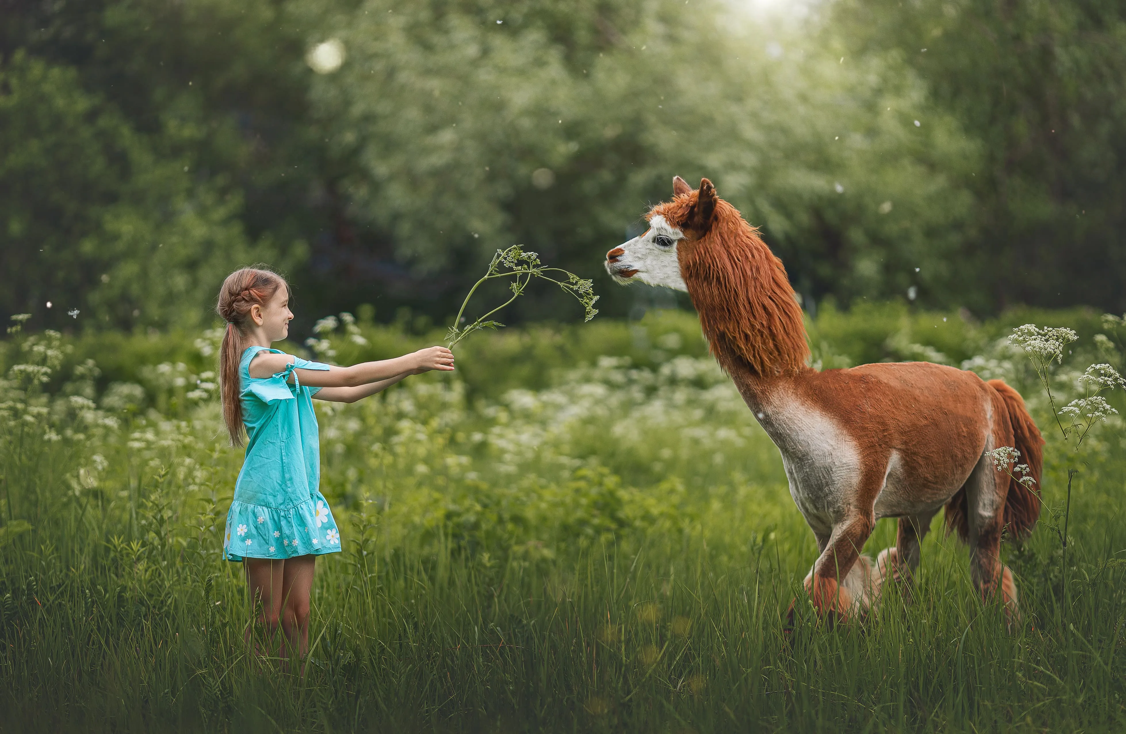 Афиша: Альпака Парк в Москве 1 октября 2026