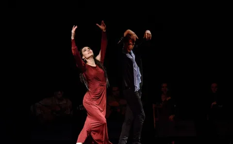Афиша: Barcelona Flamenco Ballet в Санкт-Петербурге 8 октября 2026
