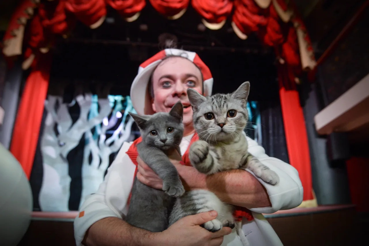 Афиша: Котобум. Дмитрий Куклачёв в Новокузнецке 13 октября 2026