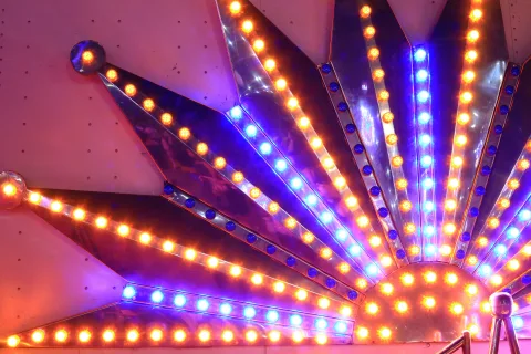 Афиша: Шоу бурых медведей в Санкт-Петербурге 24 октября 2026