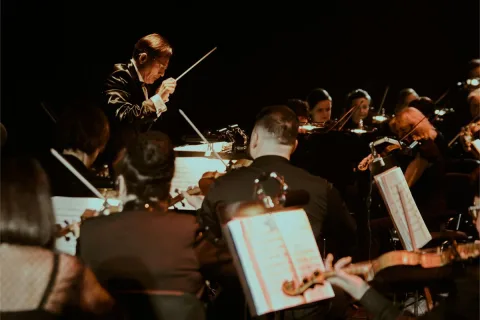 Афиша: Турецкие сериалы. Мультимедийное шоу саундтреков в Ростове-на-Дону 30 октября 2026