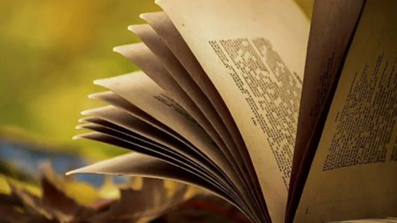 Афиша: Литературное приключение «Тайны забытых книг» в Екатеринбурге 17 сентября 2026