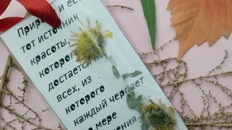 Афиша: Мастер-класс по изготовлению закладки-гербария: Остановись, мгновение в Волгограде 18 сентября 2026