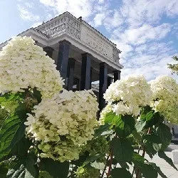 Афиша: Москва: современность и история в Москве 10 сентября 2026