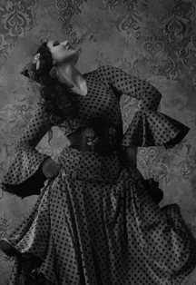 Афиша: Новый танцевальный клубный проект Tablao Flamenсo в Москве 22 сентября 2026